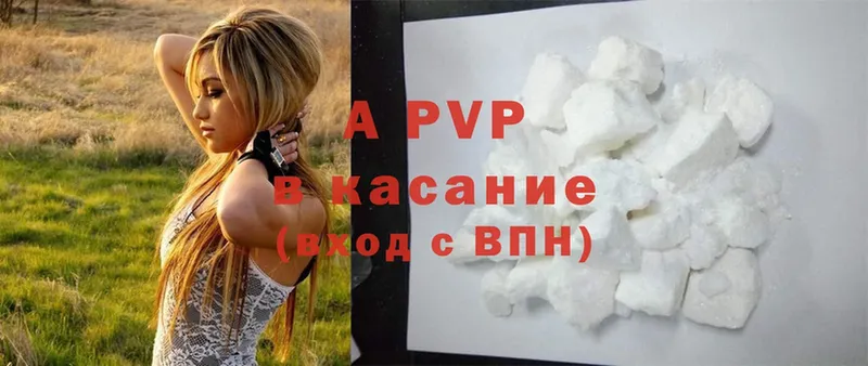 A-PVP СК КРИС  Гвардейск 